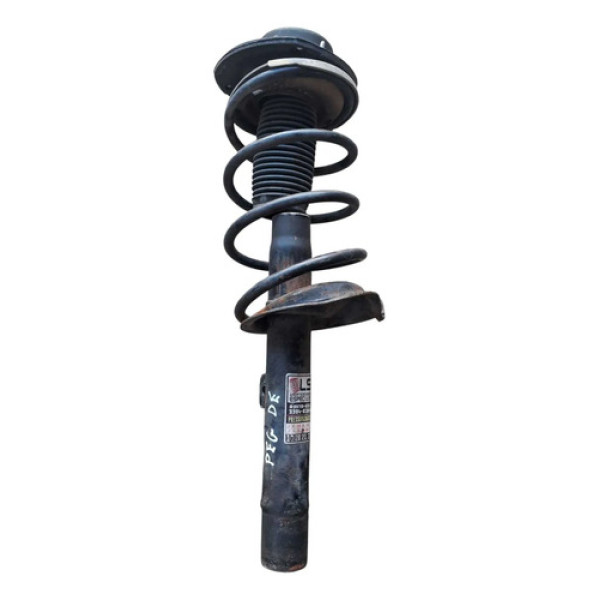 Amortecedor Dianteiro Esquerdo 206 1999 2002 2004 2005 2007 Preto