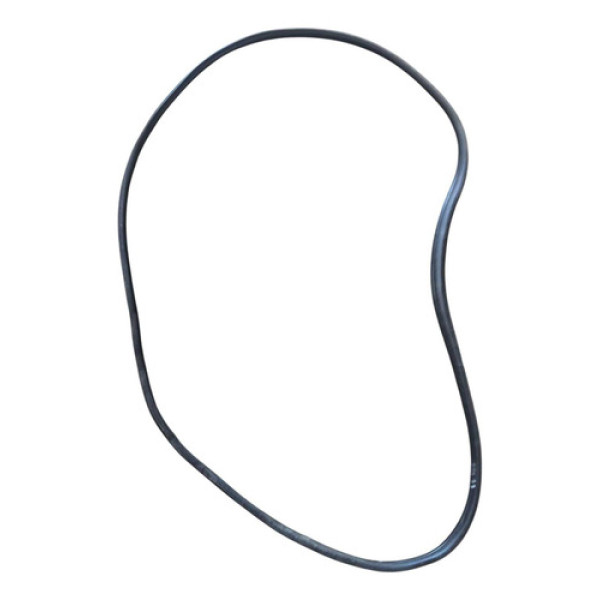 Borracha Porta Dianteira Dir 206 1999 2000 2005 2006 2007