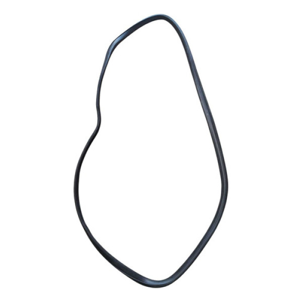 Borracha Porta Dianteira Dir 206 1999 2000 2005 2006 2007