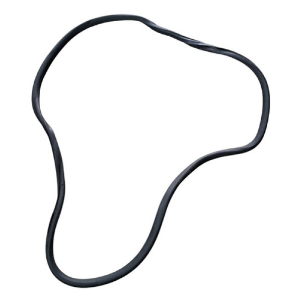 Borracha Porta Traseira Direita Passat 2006 2007 2008 A 2011