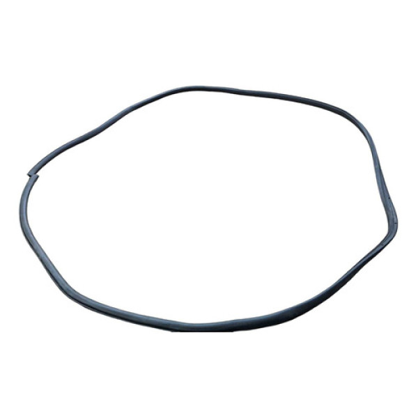 Borracha Contorno Porta Dianteira Esquerda Focus 2009 A 2013