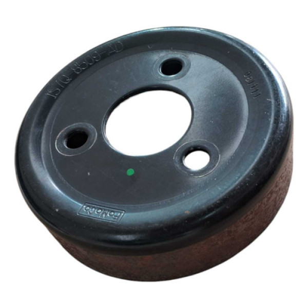 Polia Bomba Da Água Focus Ecosport 2.0 16v 2005 2008 A 2010
