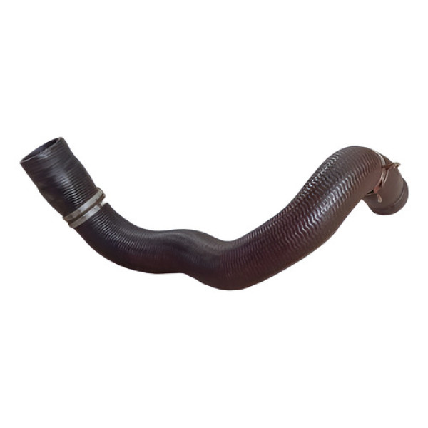 Mangueira Da Agua Kangoo 16v 2002 2003 2004 2005 2006 2008