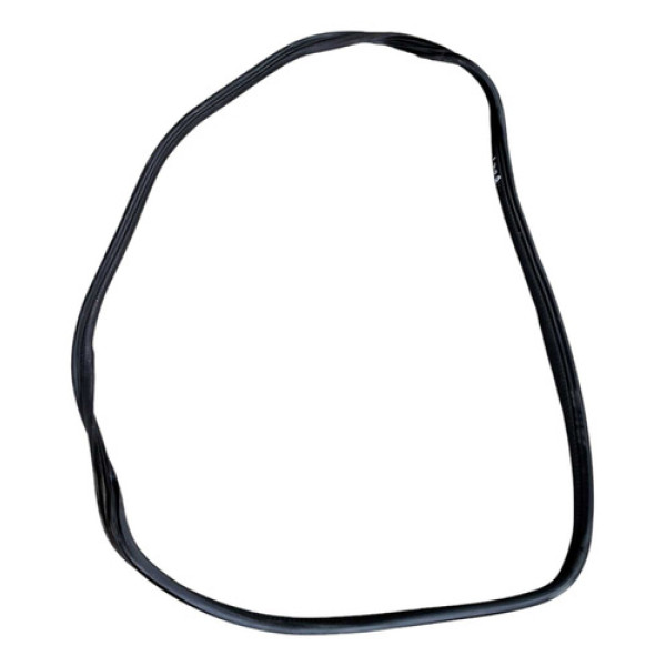 Borracha Porta Traseira Esquerda Megane Grand Tour 2007 2013